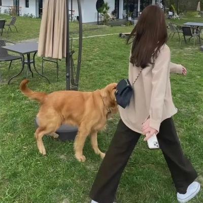 第六感泰版
